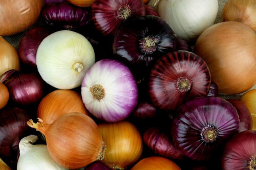 different colored onions