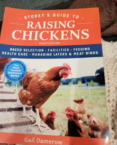 raising chickens book
