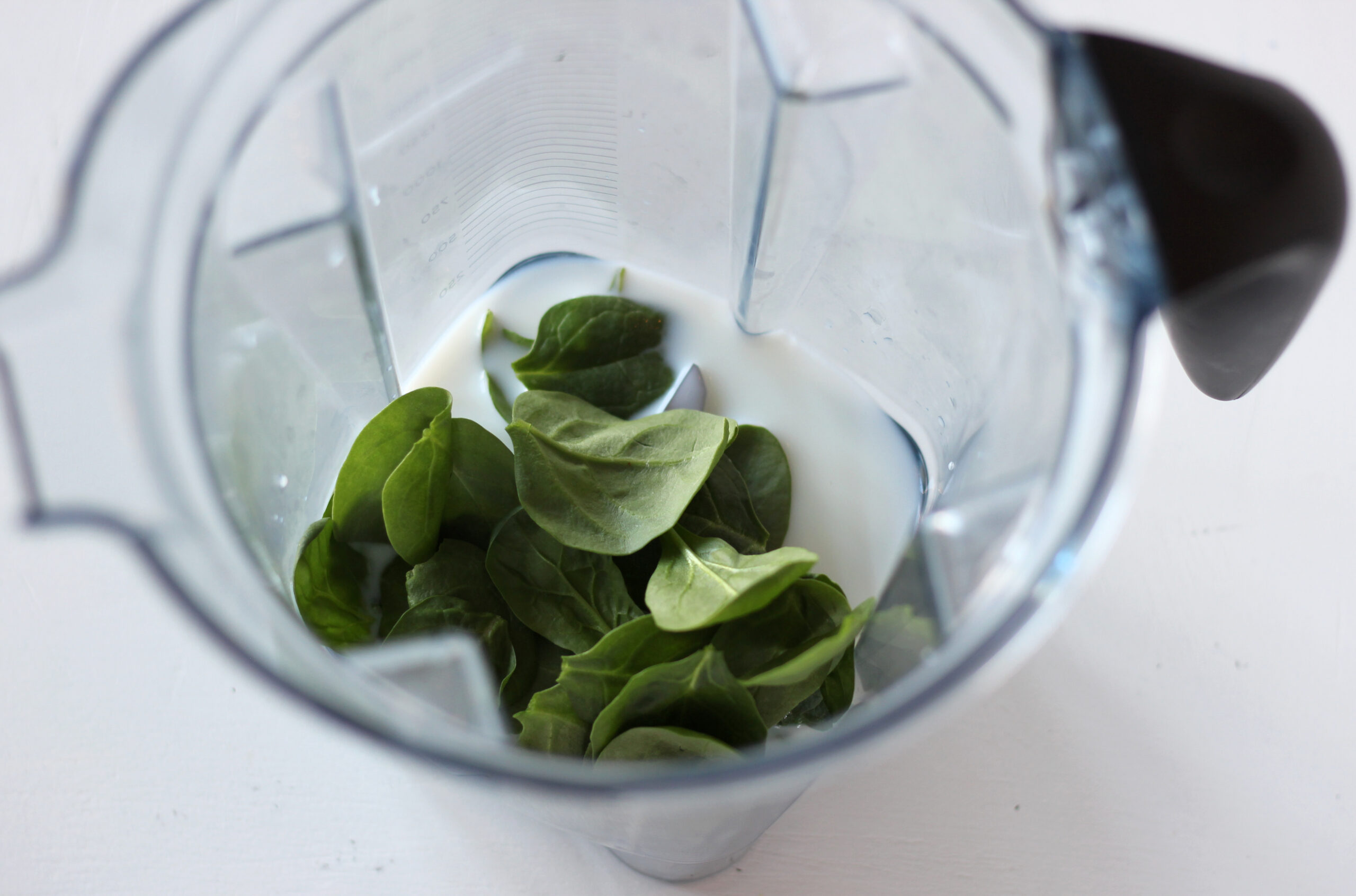 Spinach and milk in a blender