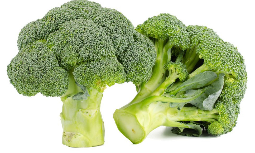 two broccoli heads