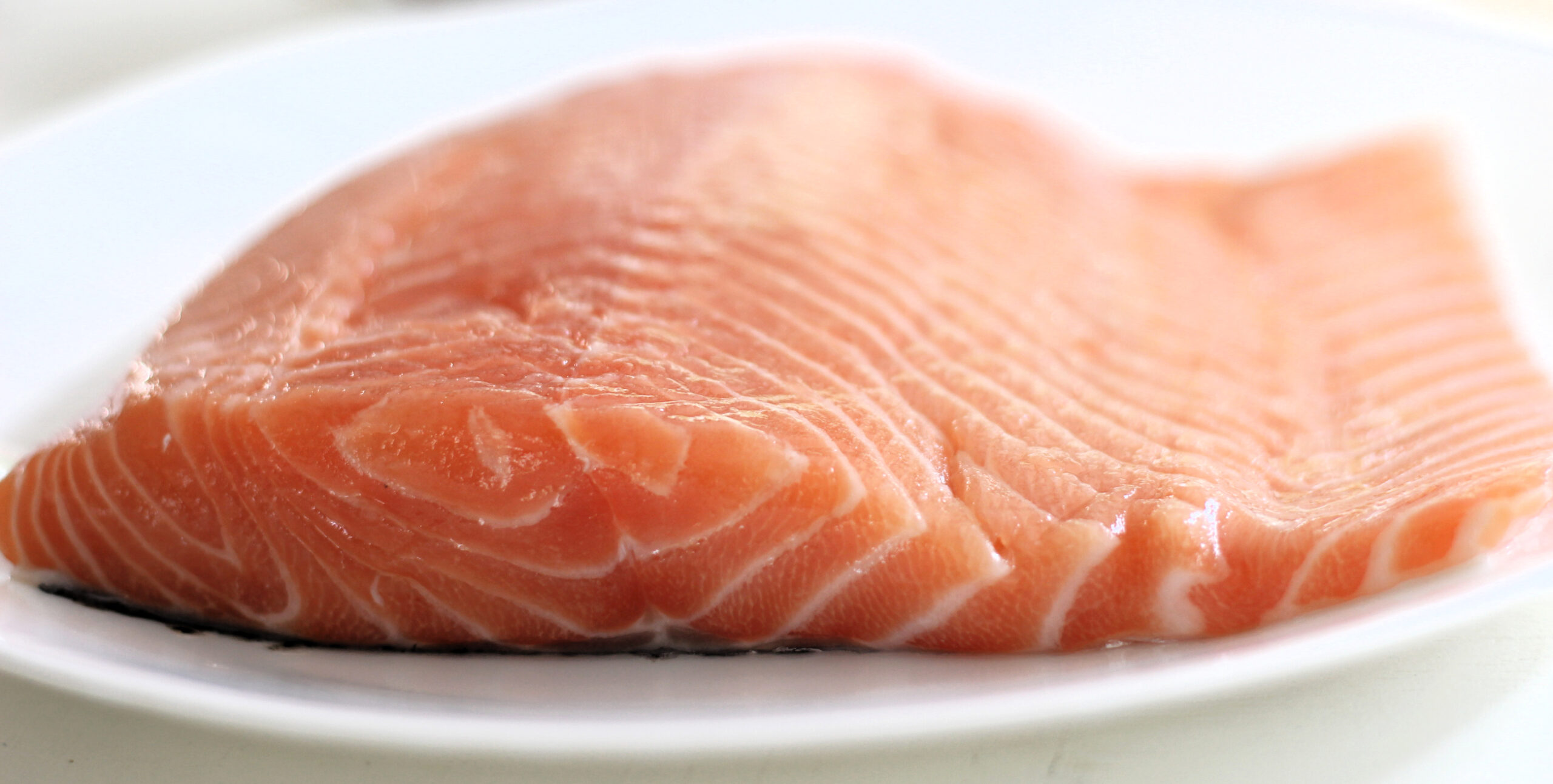 Raw filet of salmon