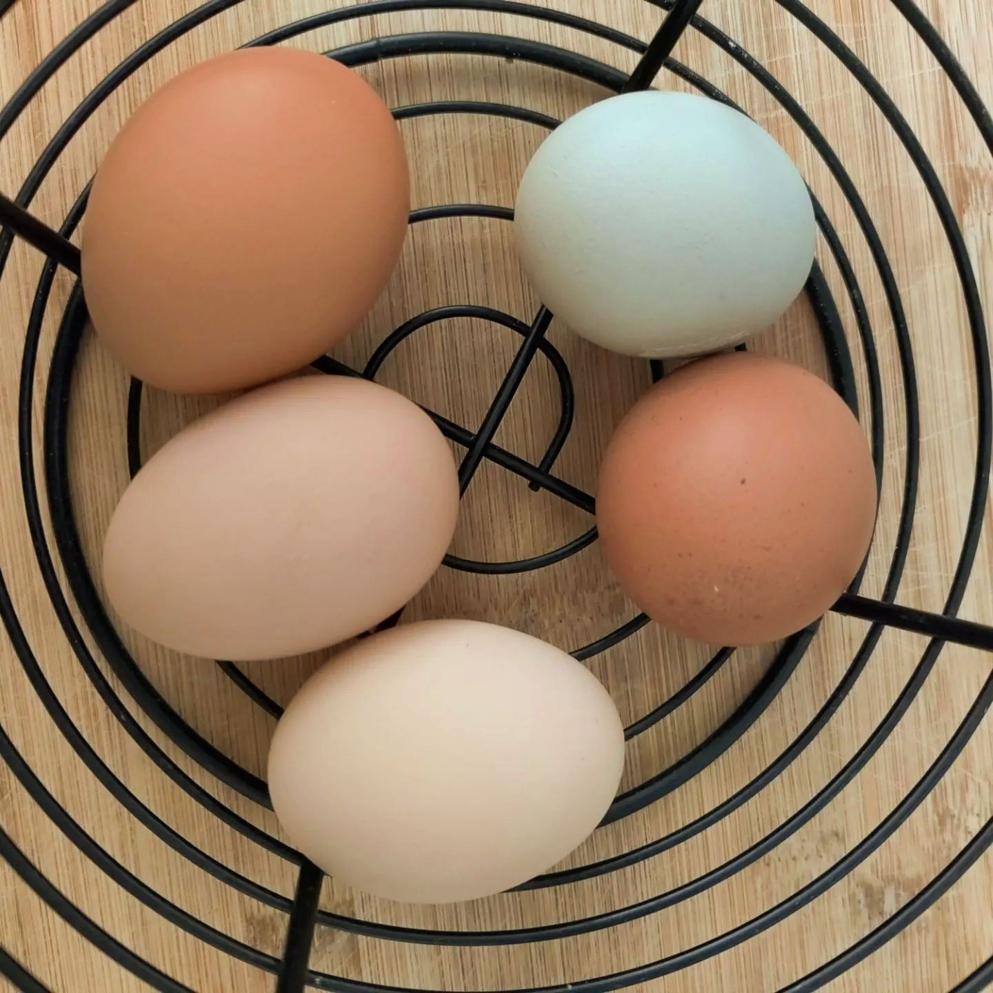 Eggs in a basket