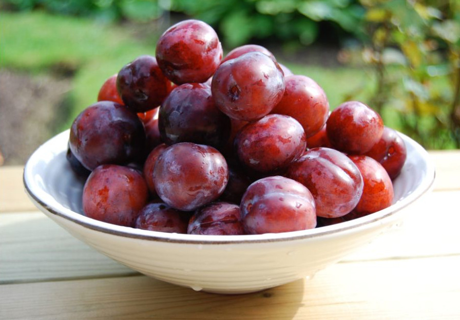 Bowl of plums