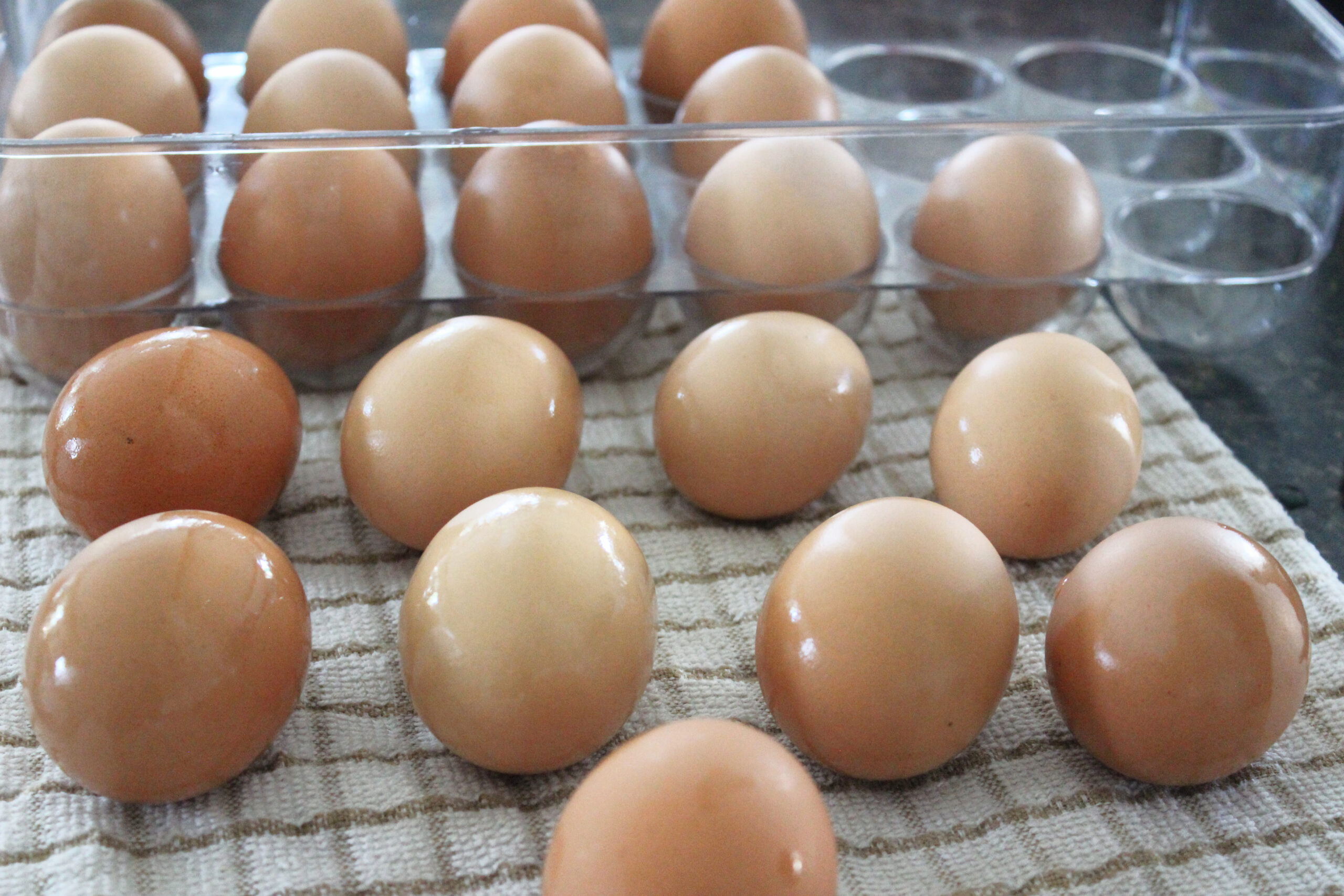 Washed chicken eggs