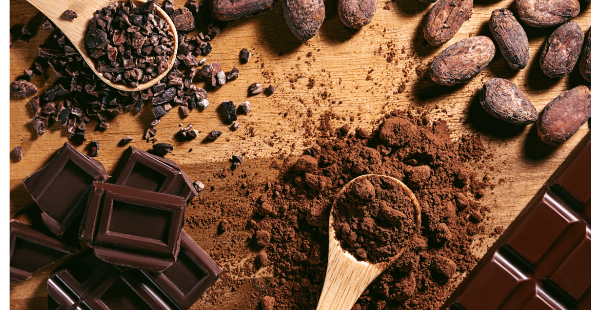 Chocolate pieces, cocoa beans, cocoa powder and cocoa nibs